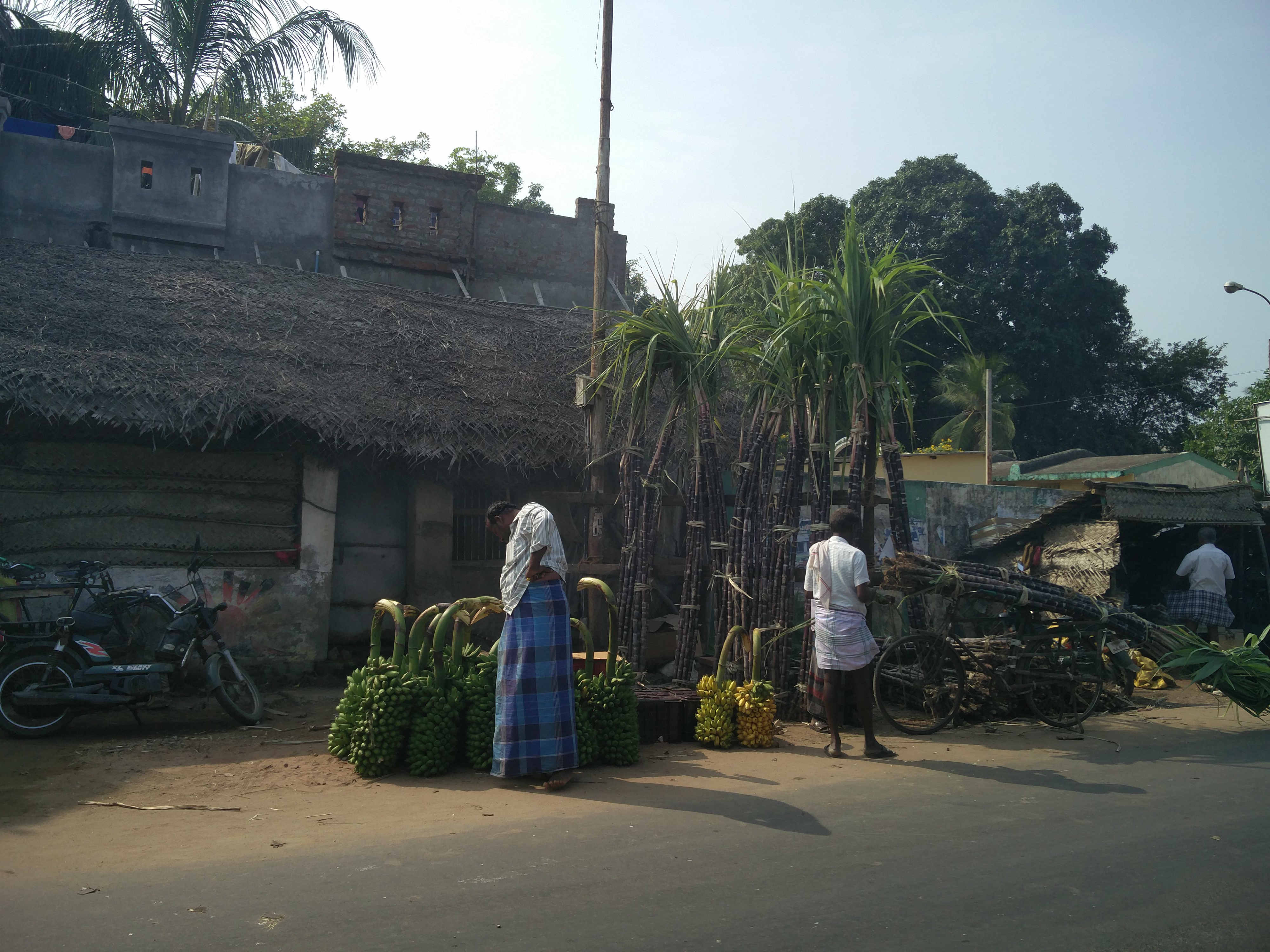 No takers for sugarcane and bananas at the Kudavasal market. No takers for sugarcane and bananas at the Kudavasal market.