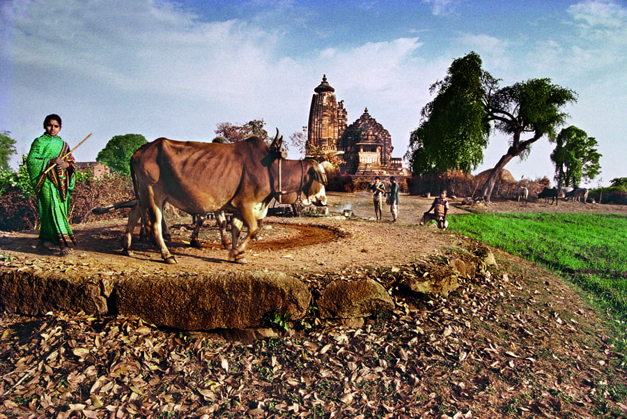 Vamana Temple, 1977. Village life is being replaced by a garden created around it by the Archaeological Survey of India. (Photograph by Raghu Rai.) Vamana Temple, 1977. Village life is being replaced by a garden created around it by the Archaeological Survey of India. (Photograph by Raghu Rai.)