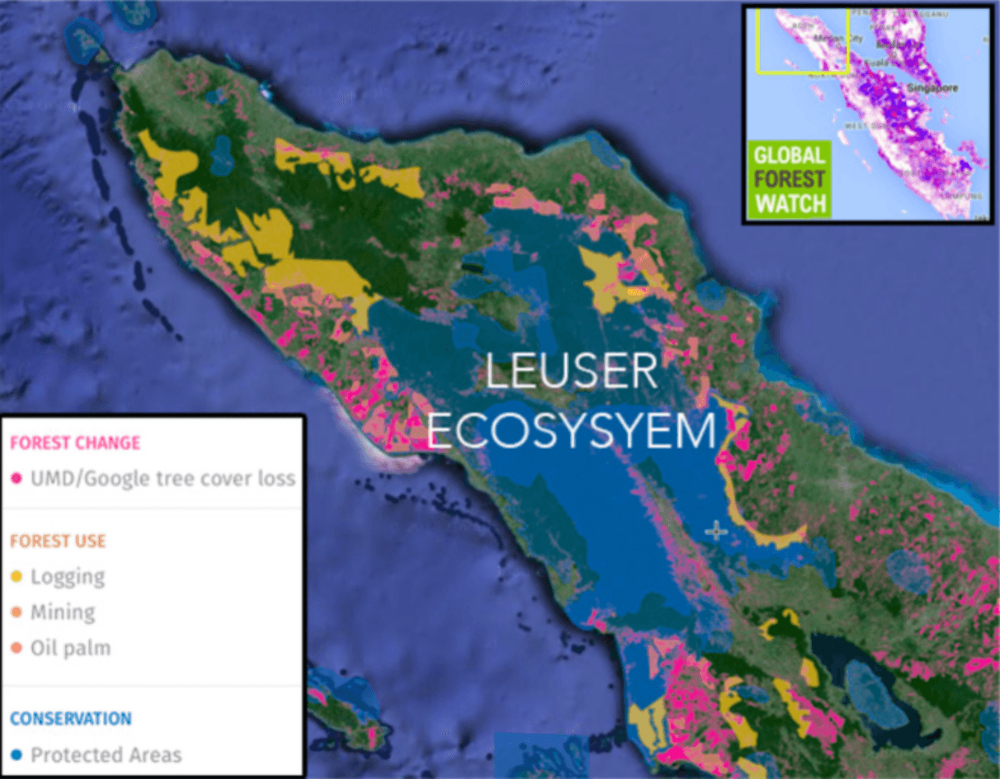 The Leuser ecosystem. Global Forest Watch, Author provided The Leuser ecosystem. Global Forest Watch, Author provided