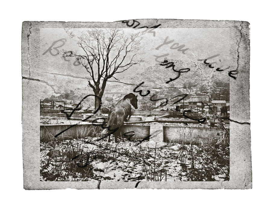Graveyard (from 'On Going Home'), Srinagar 2011. Credit: Sumit Dayal Graveyard (from 'On Going Home'), Srinagar 2011. Credit: Sumit Dayal