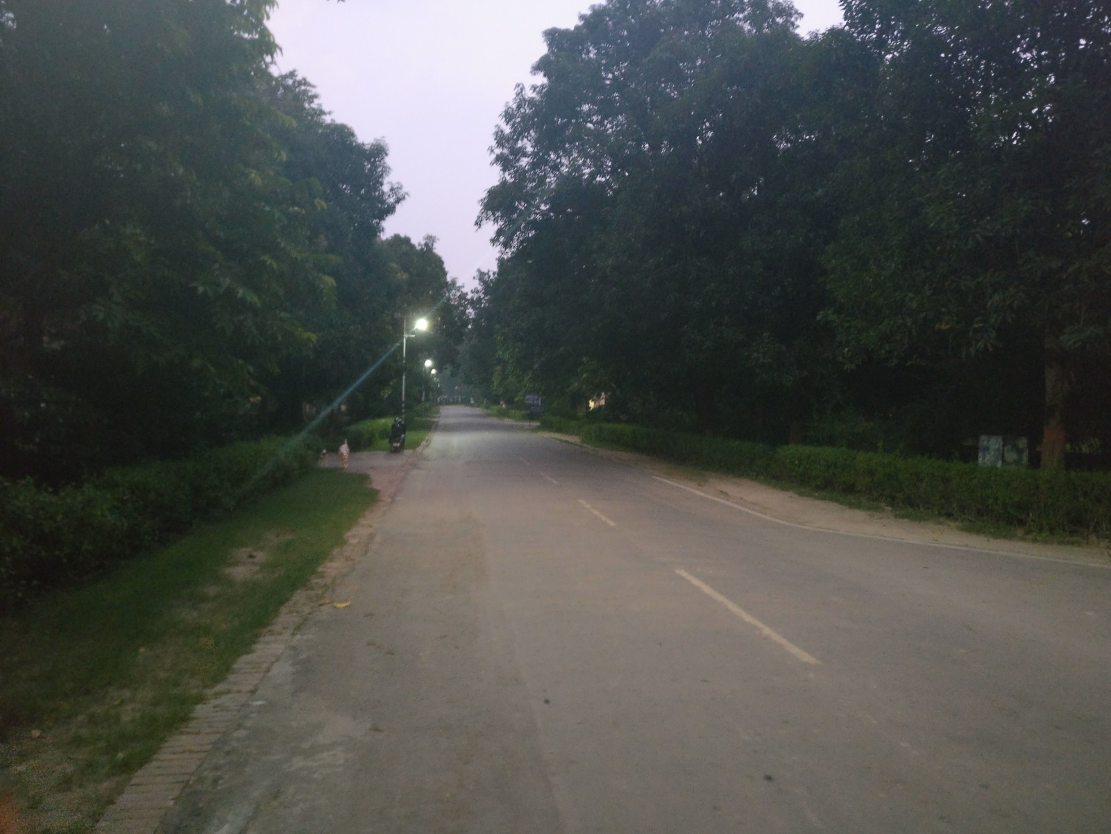 The road in front of Bharat Kala Bhawan at 6 pm on Tuesday. This is where the molestation happened. Photo credit: Shreya Roy Chowdhury. The road in front of Bharat Kala Bhawan at 6 pm on Tuesday. This is where the molestation happened. Photo credit: Shreya Roy Chowdhury.