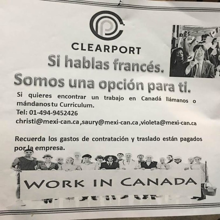 An ad from Tijuana traffickers seeking to lure Haitians, saying ‘If you speak French, we’re an option for you’. ( Photo credit: Author provided ) An ad from Tijuana traffickers seeking to lure Haitians, saying ‘If you speak French, we’re an option for you’. ( Photo credit: Author provided )