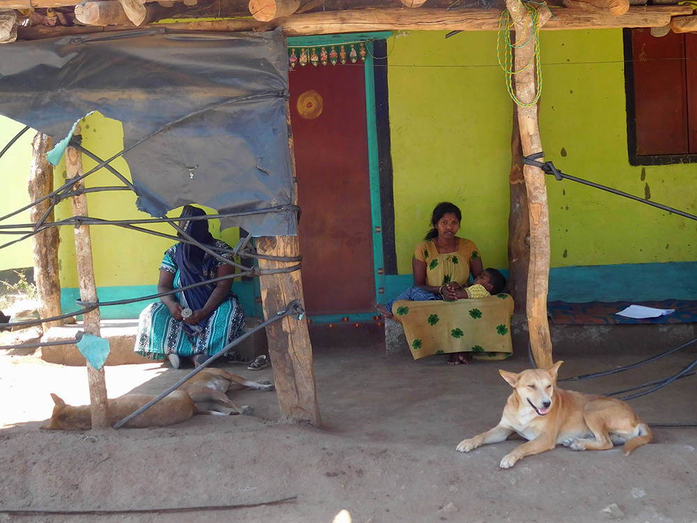 Lakhsmi of Jenu Kuruba Colony in Moleyuru. (Photo: TA Ameerudheen) Lakhsmi of Jenu Kuruba Colony in Moleyuru. (Photo: TA Ameerudheen)