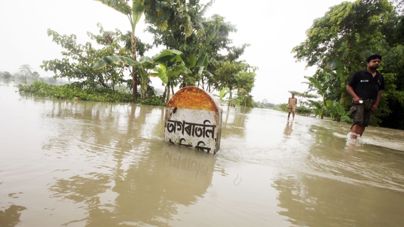 At least 80% of Kaziranga National Park is submerged. (Photo courtesy: Wildlife Trust of India.) At least 80% of Kaziranga National Park is submerged. (Photo courtesy: Wildlife Trust of India.)