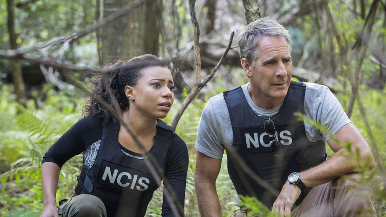 The ‘NCIS’ series was a favorite among Trump supporters. Courtesy CBS. The ‘NCIS’ series was a favorite among Trump supporters. Courtesy CBS.