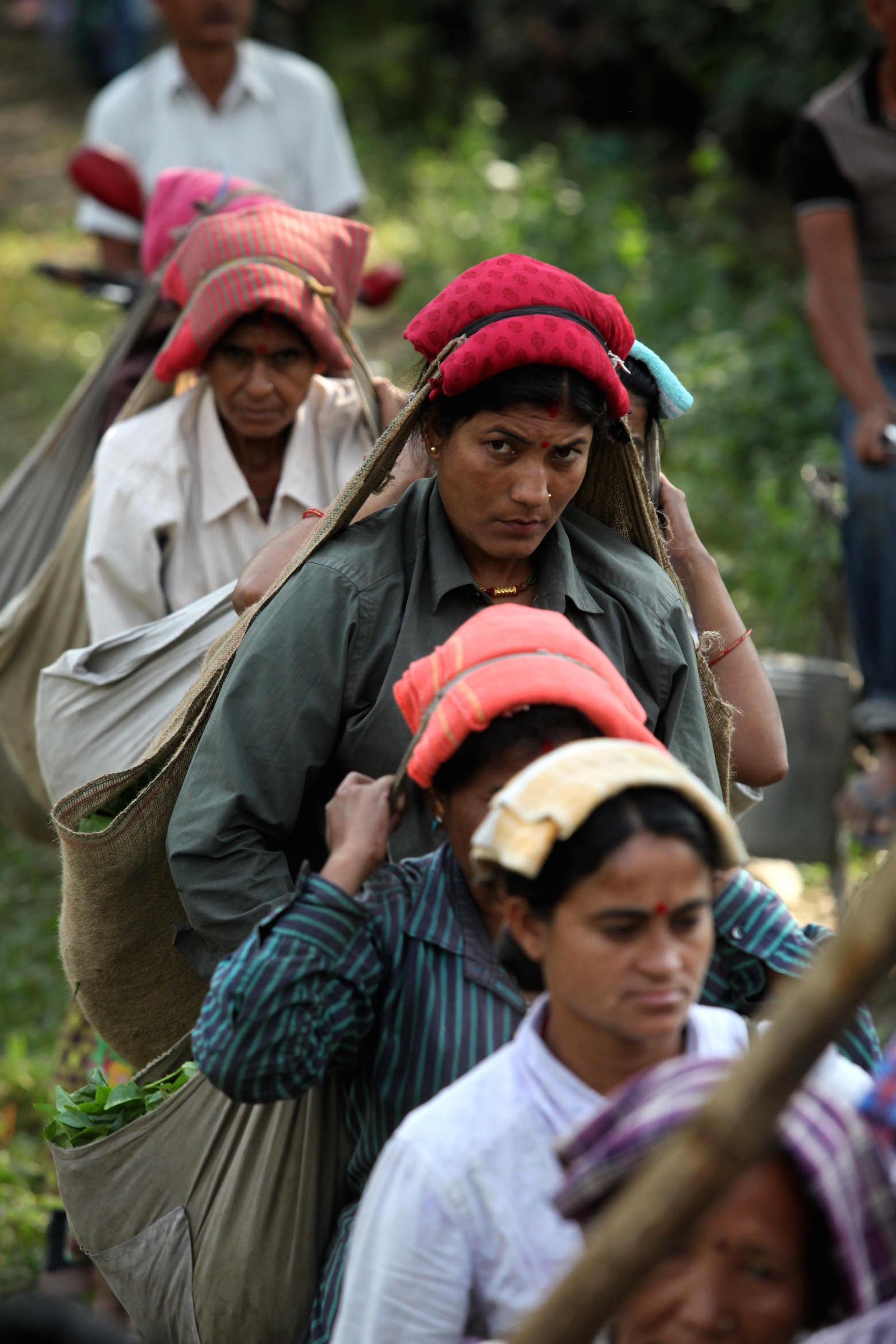 Tea garden workers at Bagrakote in North Bengal. Tea garden workers at Bagrakote in North Bengal.
