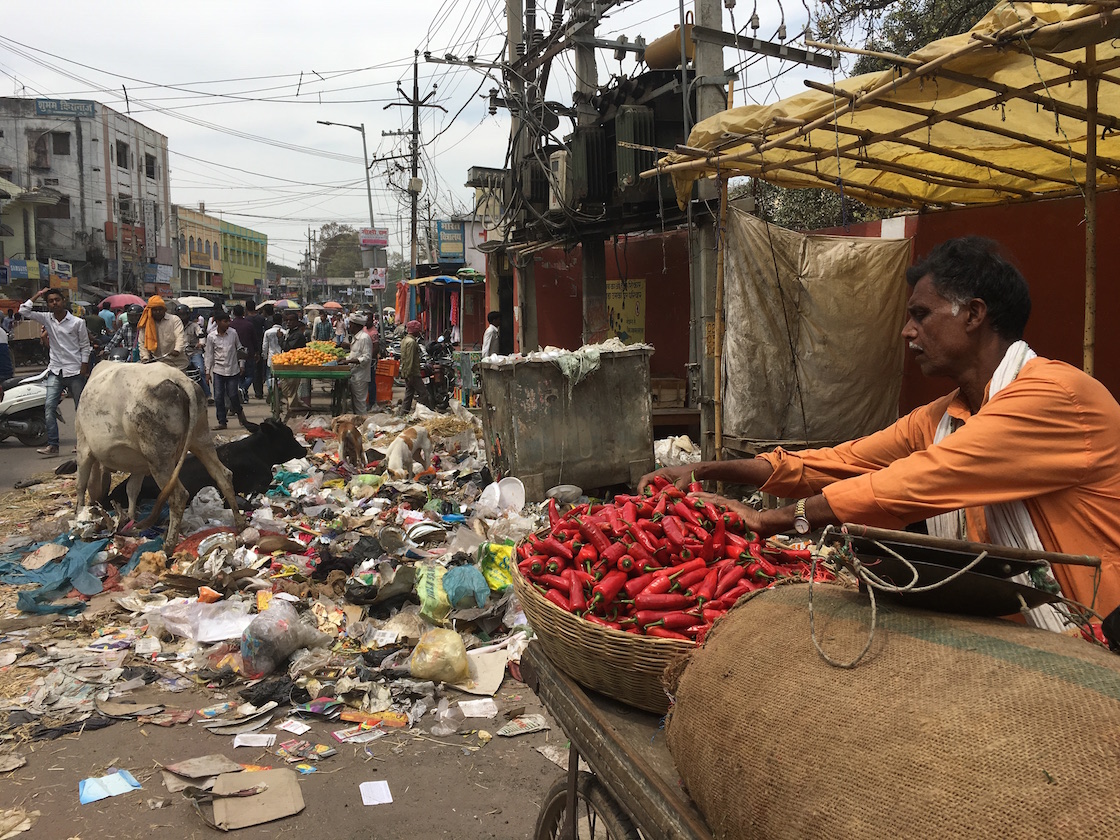 The towns and cities of Bihar have piles of rotting garbage. The towns and cities of Bihar have piles of rotting garbage.