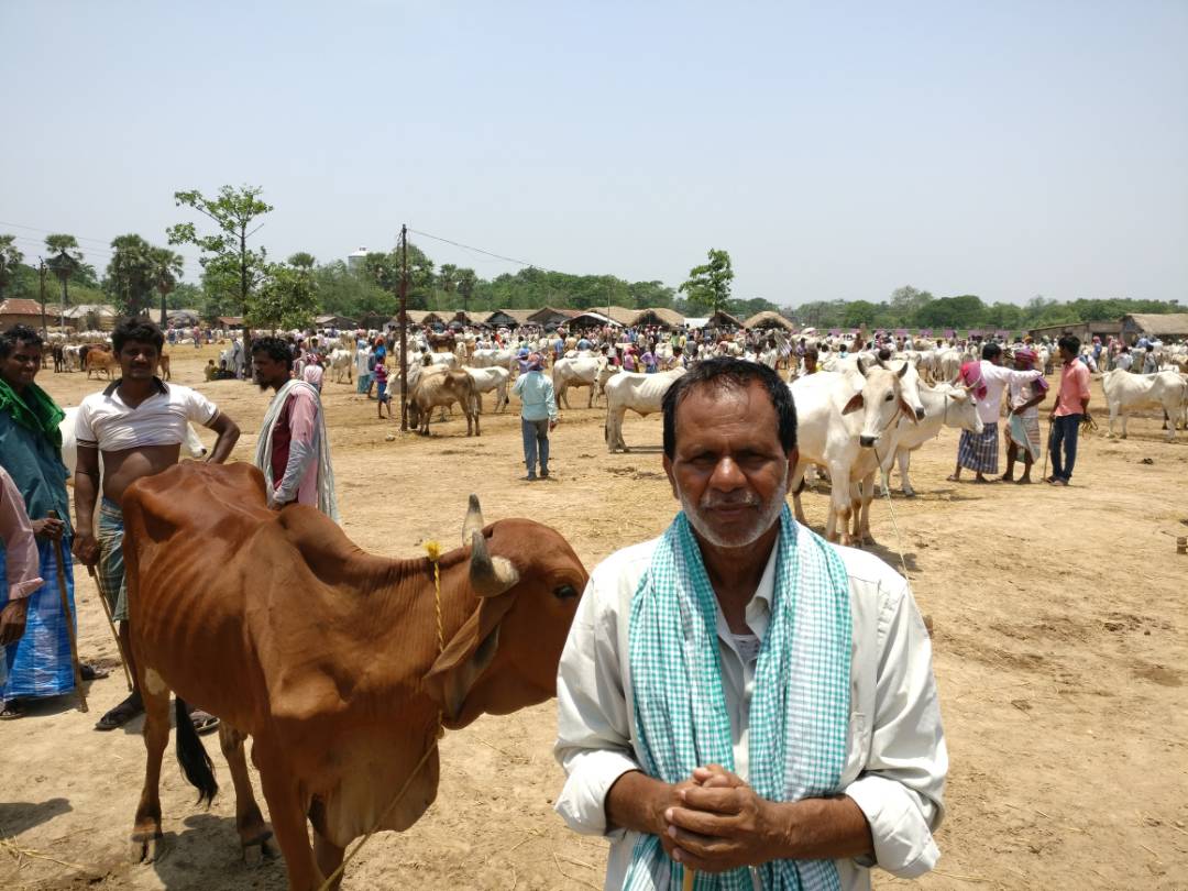 Ashraf Khadim, a farmer, is worried about falling prices of cattle. Ashraf Khadim, a farmer, is worried about falling prices of cattle.