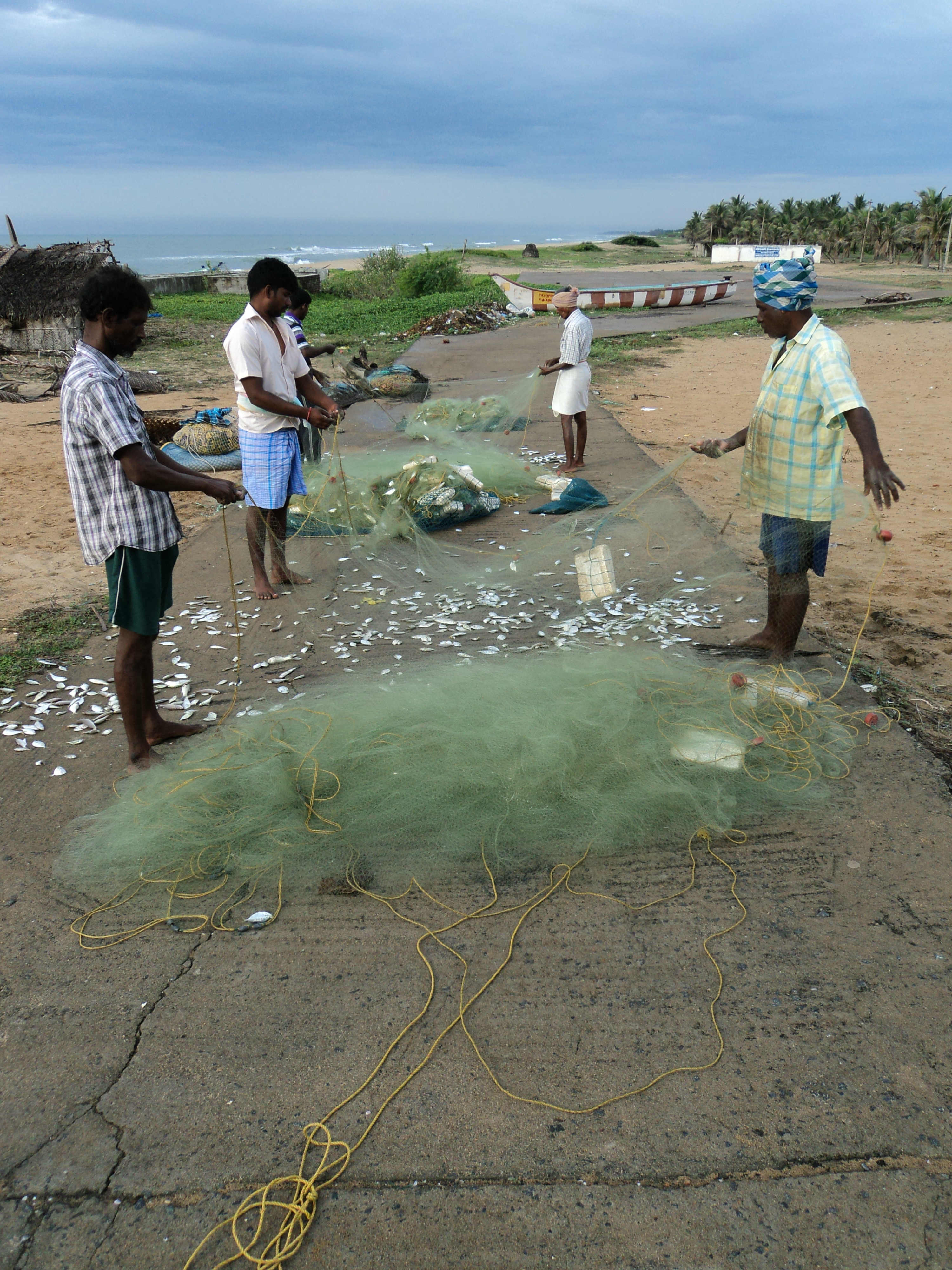 Fishermen sort the day's catch in Panayaur Kuppam, near Chennai. Fishermen sort the day's catch in Panayaur Kuppam, near Chennai.