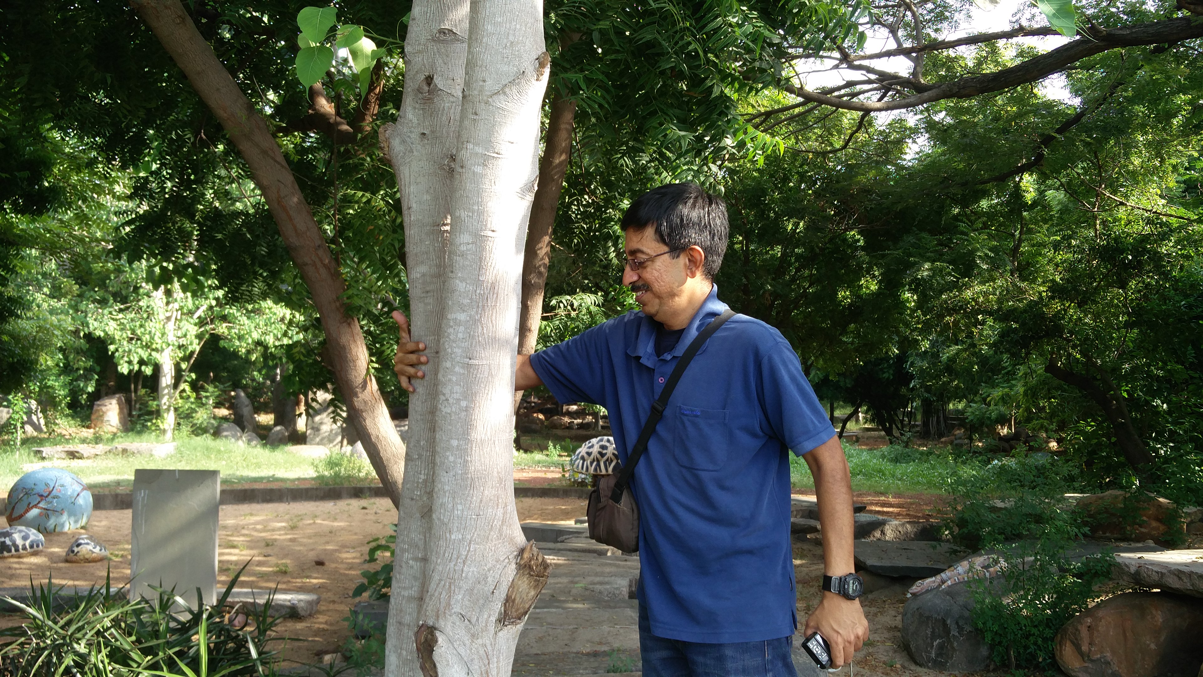 Poochi Venkat searching for insects on a tree. Credit: Vinita Govindarajan Poochi Venkat searching for insects on a tree. Credit: Vinita Govindarajan
