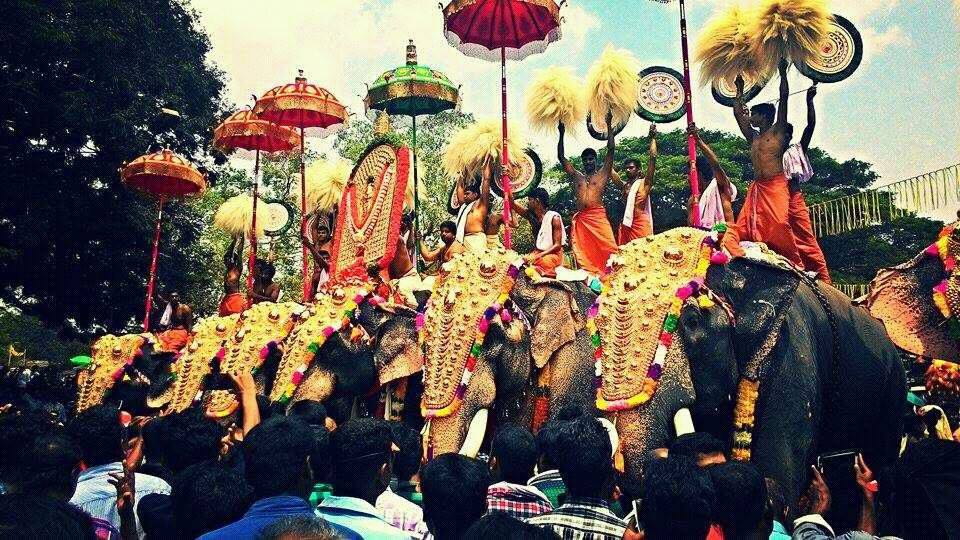 Thrissur Pooram/via Facebook Thrissur Pooram/via Facebook