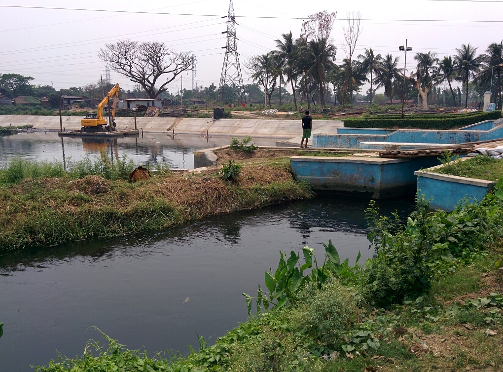 Kolkata's unique wetlands that treat sewage water are shrinking