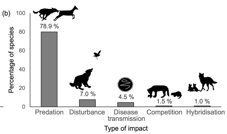 The frequency of different types of dog impact on threatened species. The frequency of different types of dog impact on threatened species.