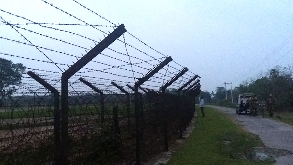 Barbed wire fence. Barbed wire fence.