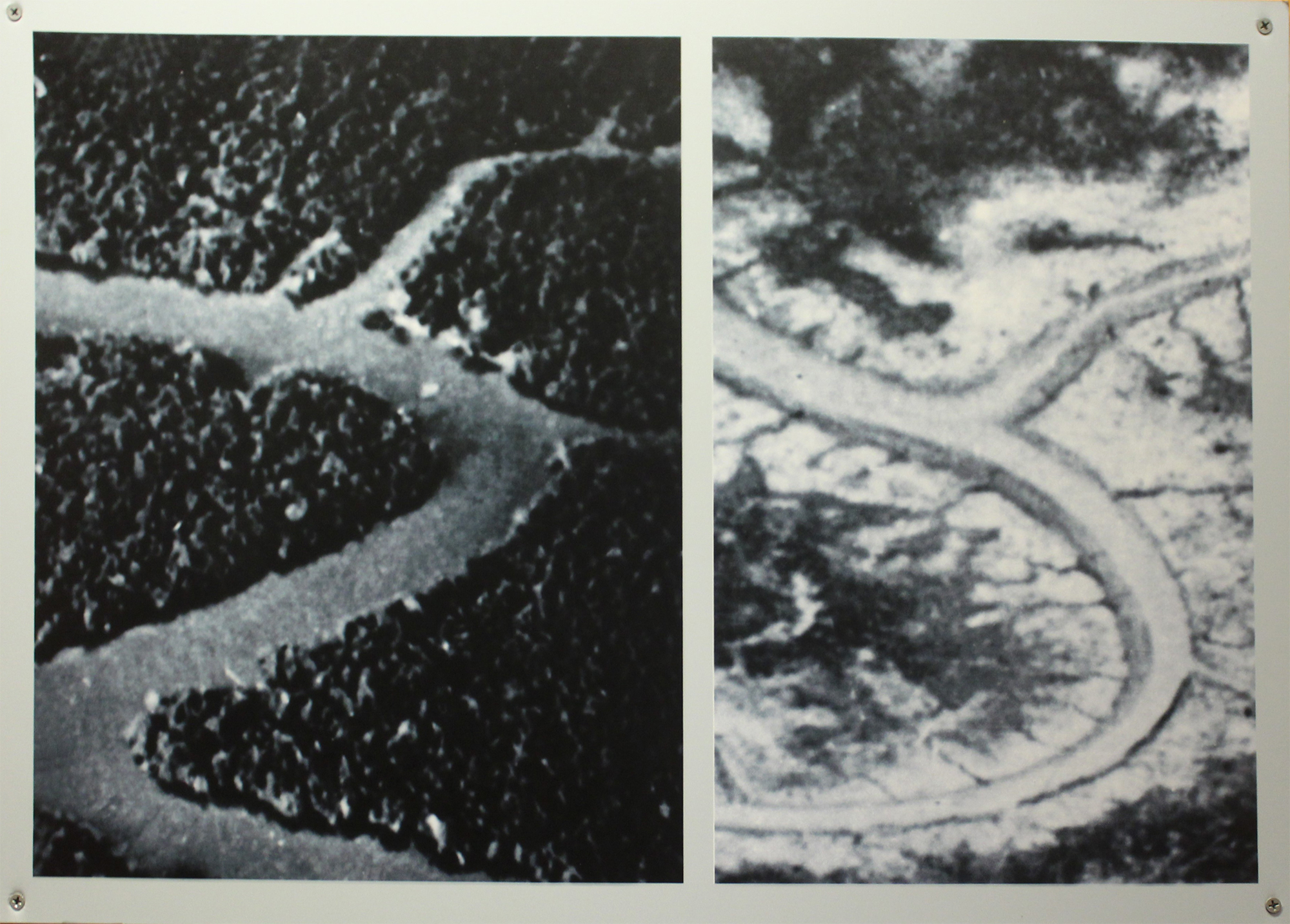 A bird's eye few of how Agent Orange wiped out forests. (Image: War Remnants Museum) A bird's eye few of how Agent Orange wiped out forests. (Image: War Remnants Museum)