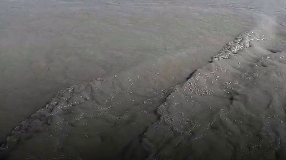 The murky waters of the Siang river in Arunachal Pradesh where the level of suspended particulates is way above the permissible limit. (Credit: YouTube) The murky waters of the Siang river in Arunachal Pradesh where the level of suspended particulates is way above the permissible limit. (Credit: YouTube)