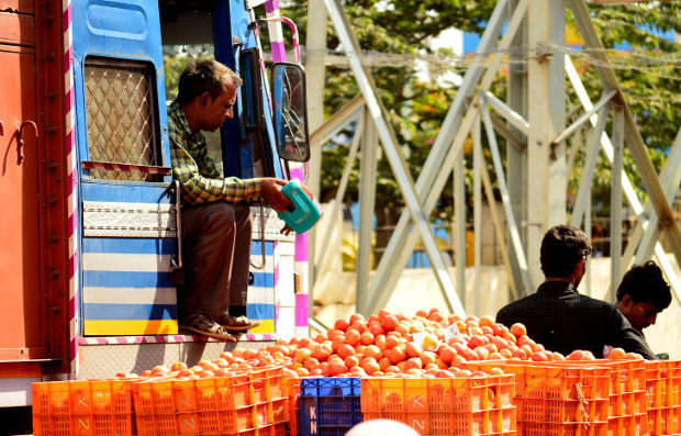 Crates of tomatoes waiting to be transported to urban markets in Kolar, Karnataka. The price of tomatoes crashed to 25 paise/kg, prompting farmers in Chhattisgarh, Nashik and Hyderabad to dump their produce. Image Credits: Prabhu Mallikarjunan Crates of tomatoes waiting to be transported to urban markets in Kolar, Karnataka. The price of tomatoes crashed to 25 paise/kg, prompting farmers in Chhattisgarh, Nashik and Hyderabad to dump their produce. Image Credits: Prabhu Mallikarjunan