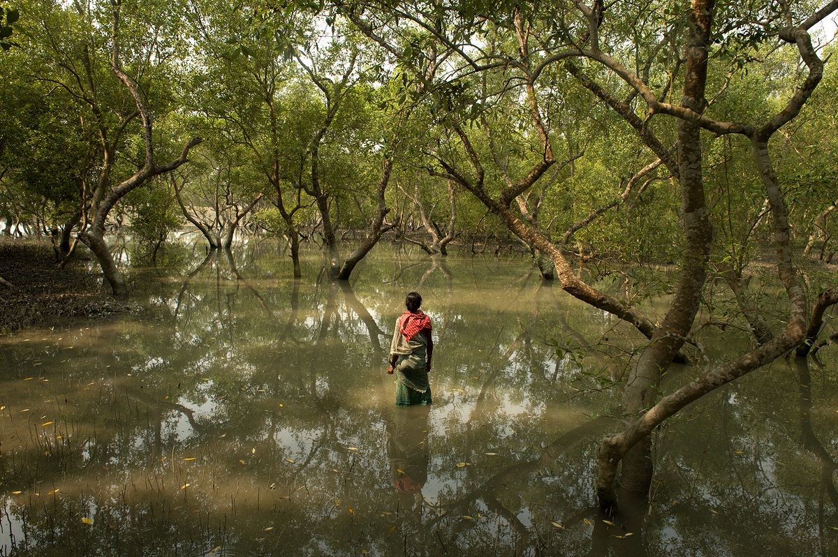 Kabita Mandal. Photo credit: Arati Kumar Rao Kabita Mandal. Photo credit: Arati Kumar Rao