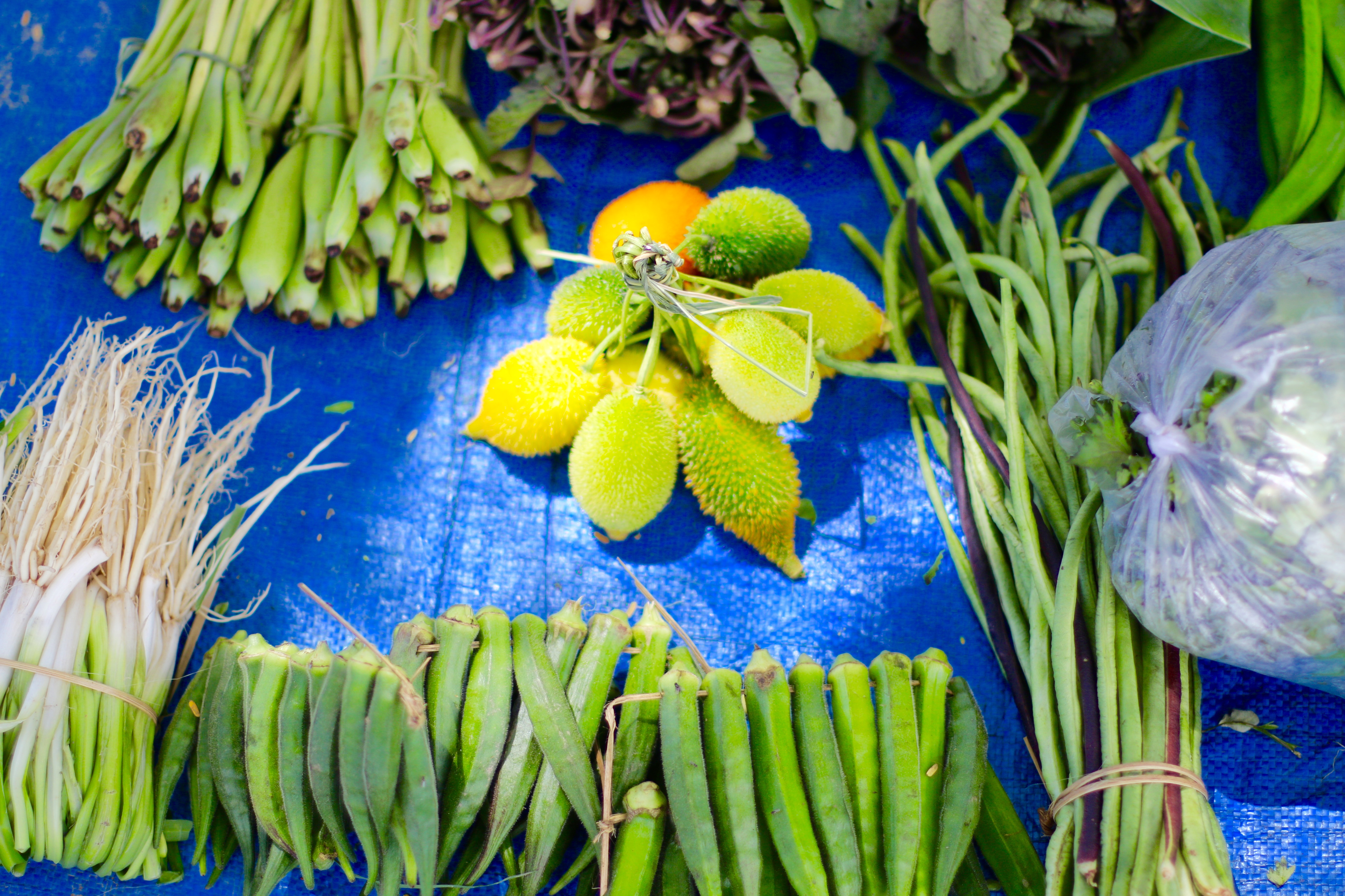 Ecological farming is considered as a sustainable alternative to counter climate change. Ecological farming is considered as a sustainable alternative to counter climate change.