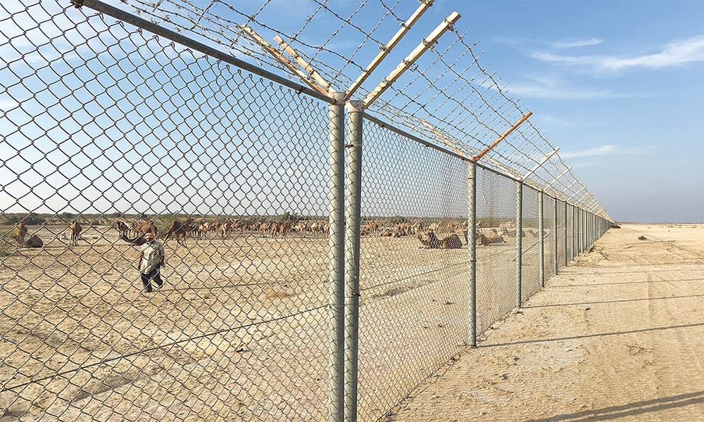 The boundary fence of Abu Dhabi’s Al-Habieb airport in Cholistan desert. Photo credit: Subuk Hasnain The boundary fence of Abu Dhabi’s Al-Habieb airport in Cholistan desert. Photo credit: Subuk Hasnain