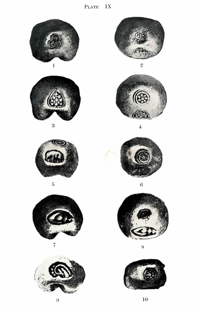 Examples of 18th-century Thai coins with marks representing lotus blossoms, elephants, conch shells. Reginald Le May, The coinage of Siam (Bangkok, 1932), plate IX. Photo credit: British Library, 07757.cc.21 Examples of 18th-century Thai coins with marks representing lotus blossoms, elephants, conch shells. Reginald Le May, The coinage of Siam (Bangkok, 1932), plate IX. Photo credit: British Library, 07757.cc.21