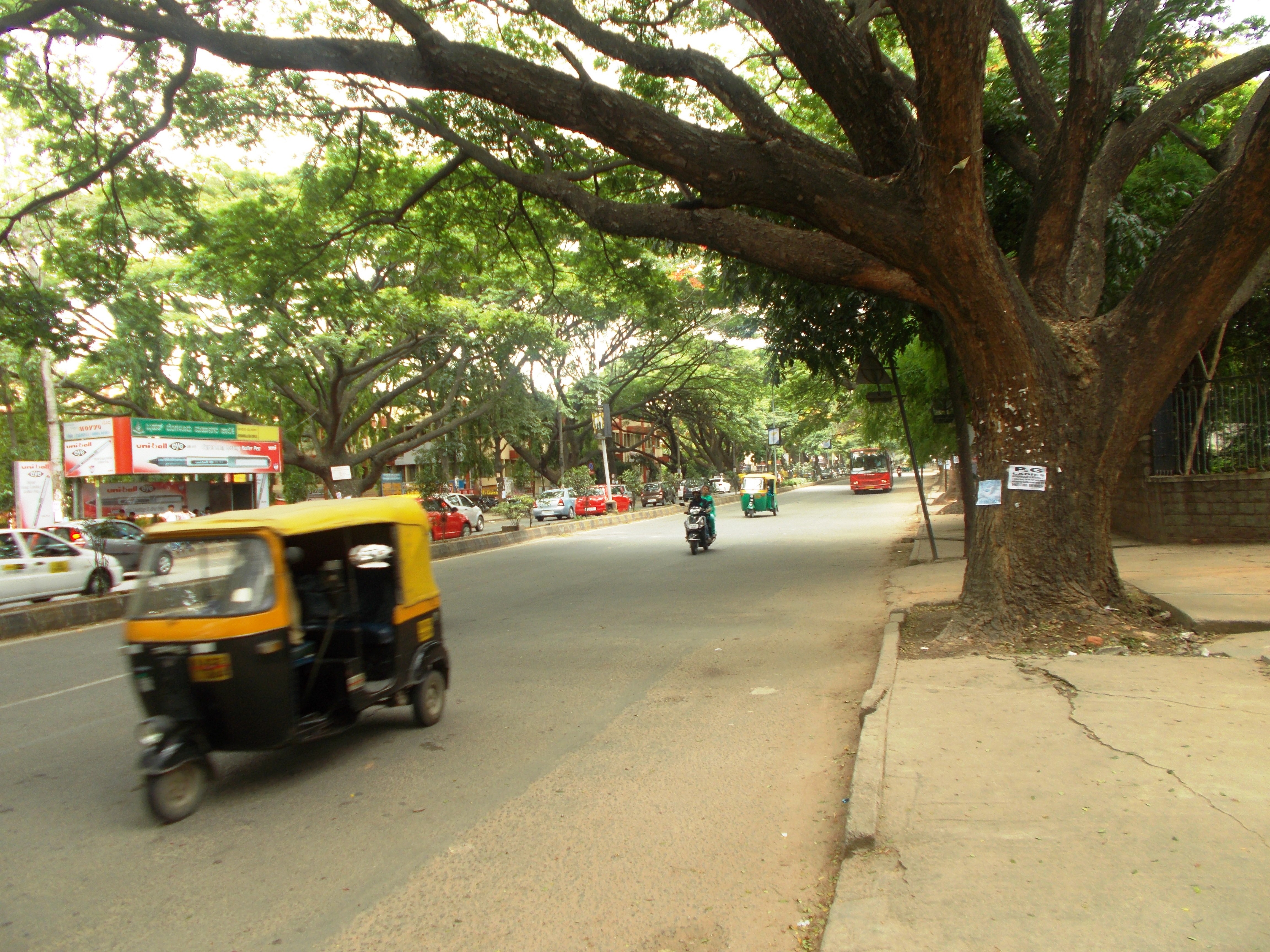 A tree-lined street in Bangalore. A tree-lined street in Bangalore.