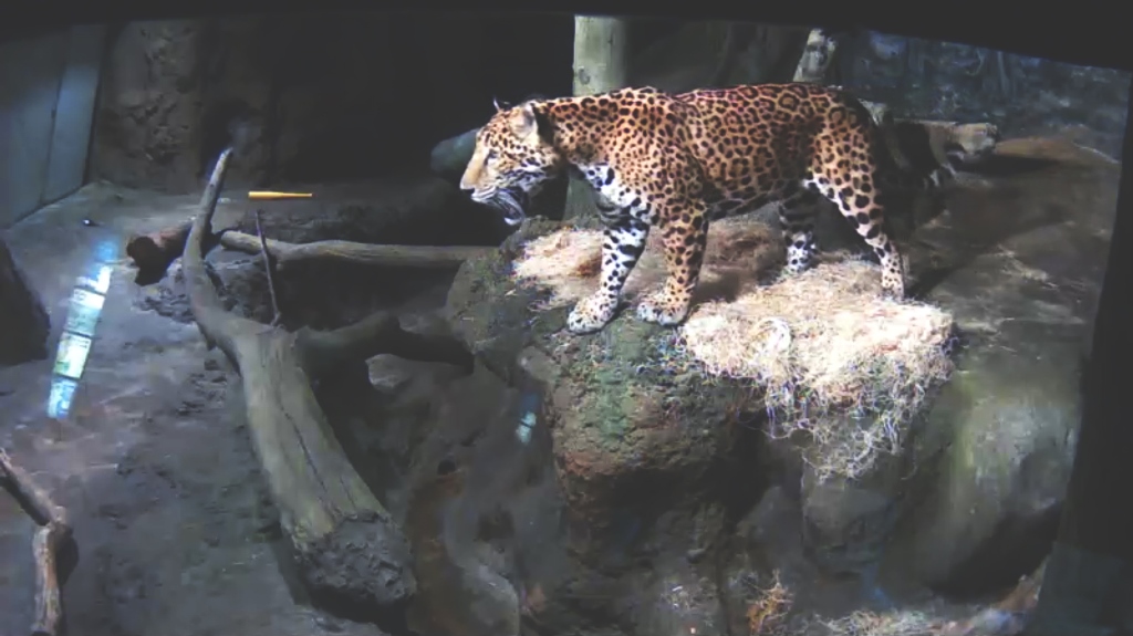 Milwaukee County Zoo, June 21, 2015. Credit: Arko Datto Milwaukee County Zoo, June 21, 2015. Credit: Arko Datto