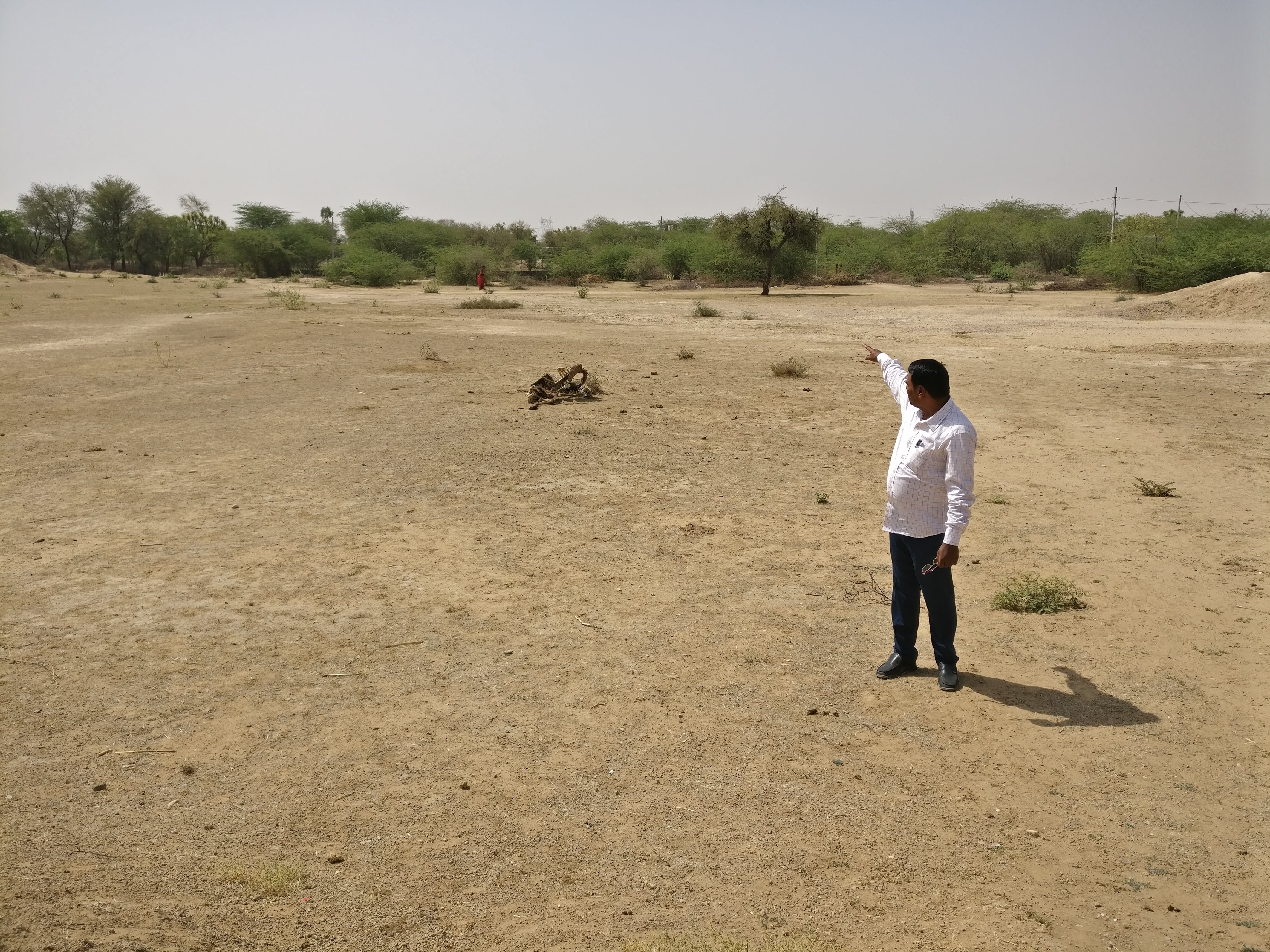 Shambhu Dayal Bairwa, a teacher at the Adarsh senior school in Pipla, points to land that belongs to the school but is now used as a dumping ground for cattle carcasses. Shambhu Dayal Bairwa, a teacher at the Adarsh senior school in Pipla, points to land that belongs to the school but is now used as a dumping ground for cattle carcasses.