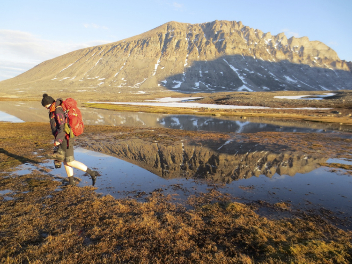Fighting off the mosquitos in boggy Greenland. Photo credit: Kathryn Adamson/The Conversation Fighting off the mosquitos in boggy Greenland. Photo credit: Kathryn Adamson/The Conversation
