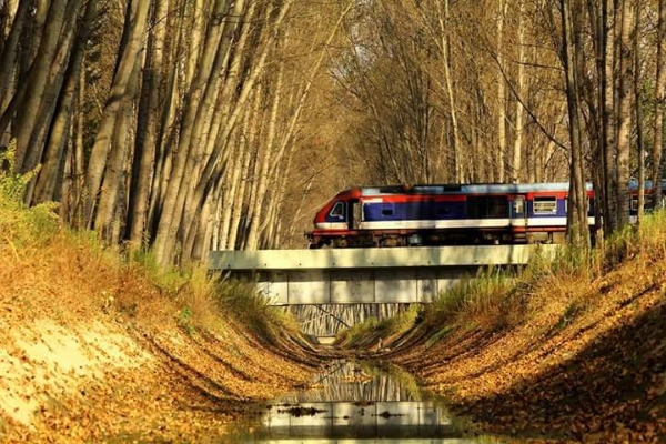 स्रोत : www.kashmirlife.net स्रोत : www.kashmirlife.net