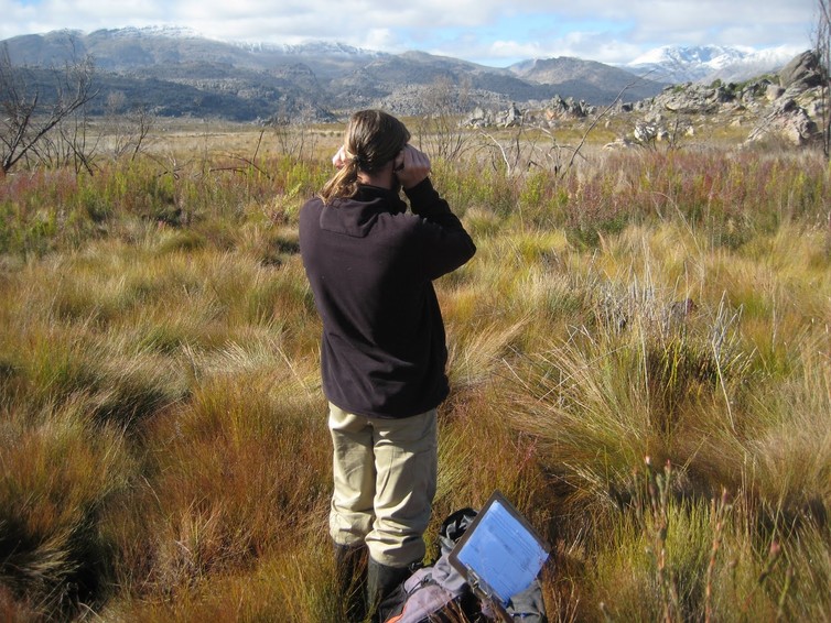 Listening for calls of the endangered Arthroleptella subvoce to monitor its abundance in the Groot Winterhoek Wilderness Area, South Africa. John Measey Listening for calls of the endangered Arthroleptella subvoce to monitor its abundance in the Groot Winterhoek Wilderness Area, South Africa. John Measey