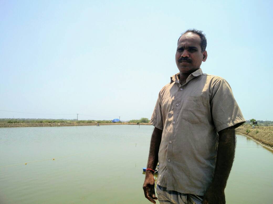 Prawn farmer Sivasamy says villagers exaggerate the extent of groundwater contamination from aquaculture. Prawn farmer Sivasamy says villagers exaggerate the extent of groundwater contamination from aquaculture.