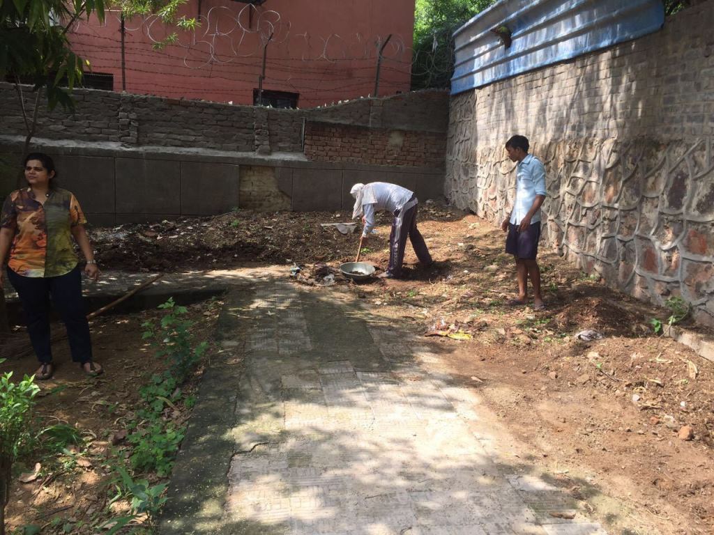 Clean-up work in E Block's local park, overseen by Bhawana Mehra. Image courtesy: Shayla Chopra. Clean-up work in E Block's local park, overseen by Bhawana Mehra. Image courtesy: Shayla Chopra.