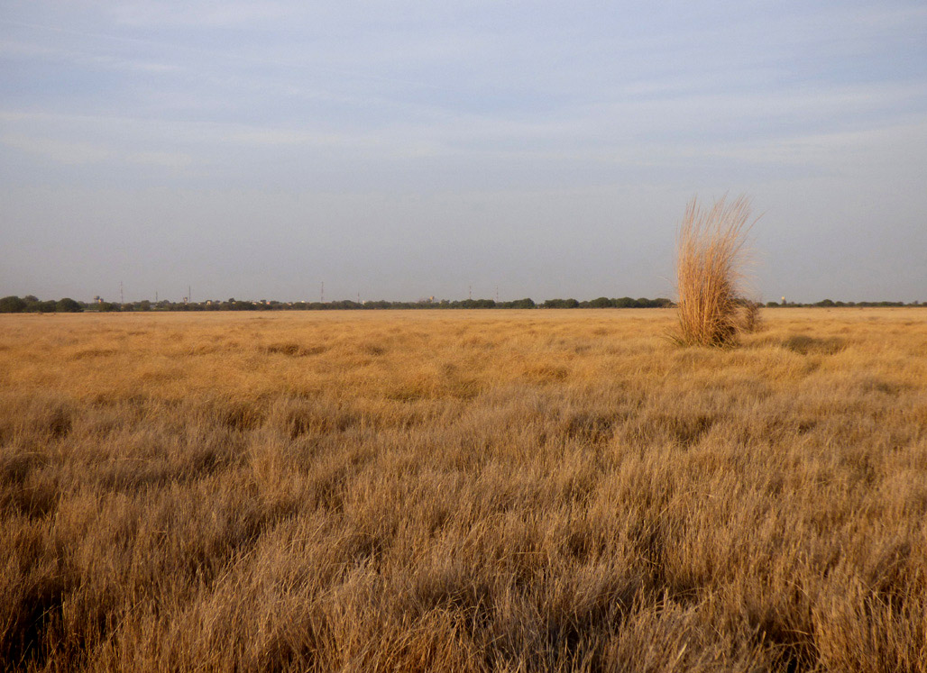 (Photo credit: Prashanth MB). (Photo credit: Prashanth MB).