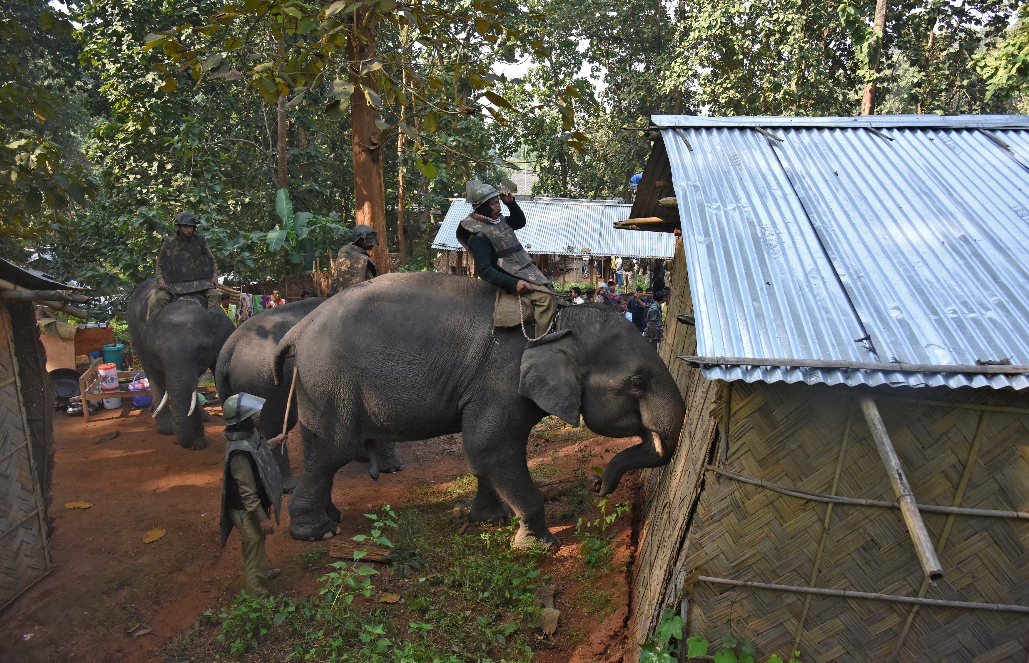 Elephants being used to demolish houses. (Photo credit: Reuters). Elephants being used to demolish houses. (Photo credit: Reuters).