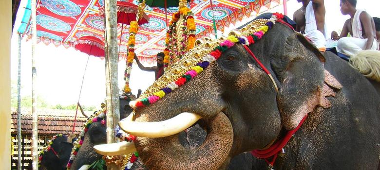 Low-decibel fireworks can be used at Thrissur Pooram festival, says Kerala High Court