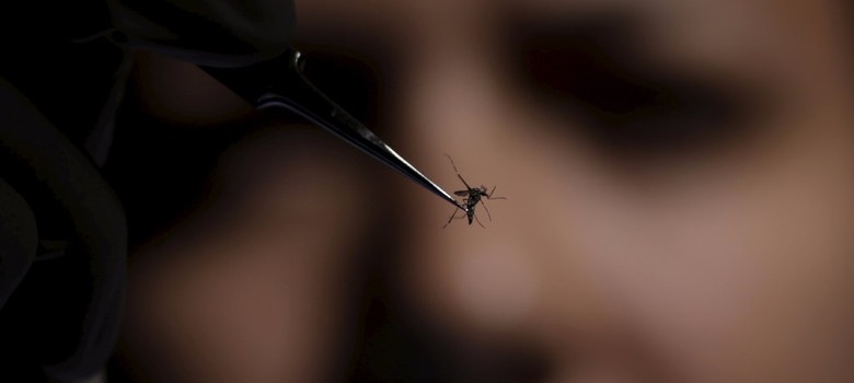 At least 2,116 pregnant women infected with Zika virus in Colombia