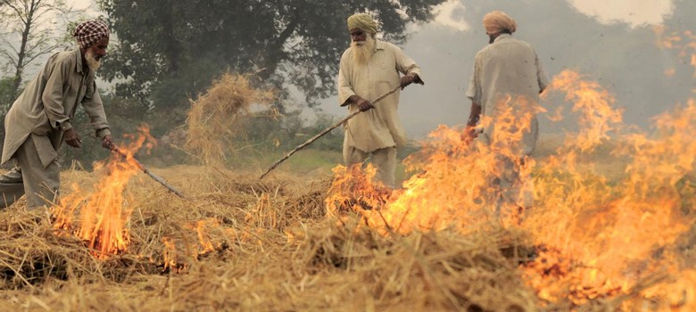 Bring the 21 farmers you stopped from burning crops, NGT tells Punjab government