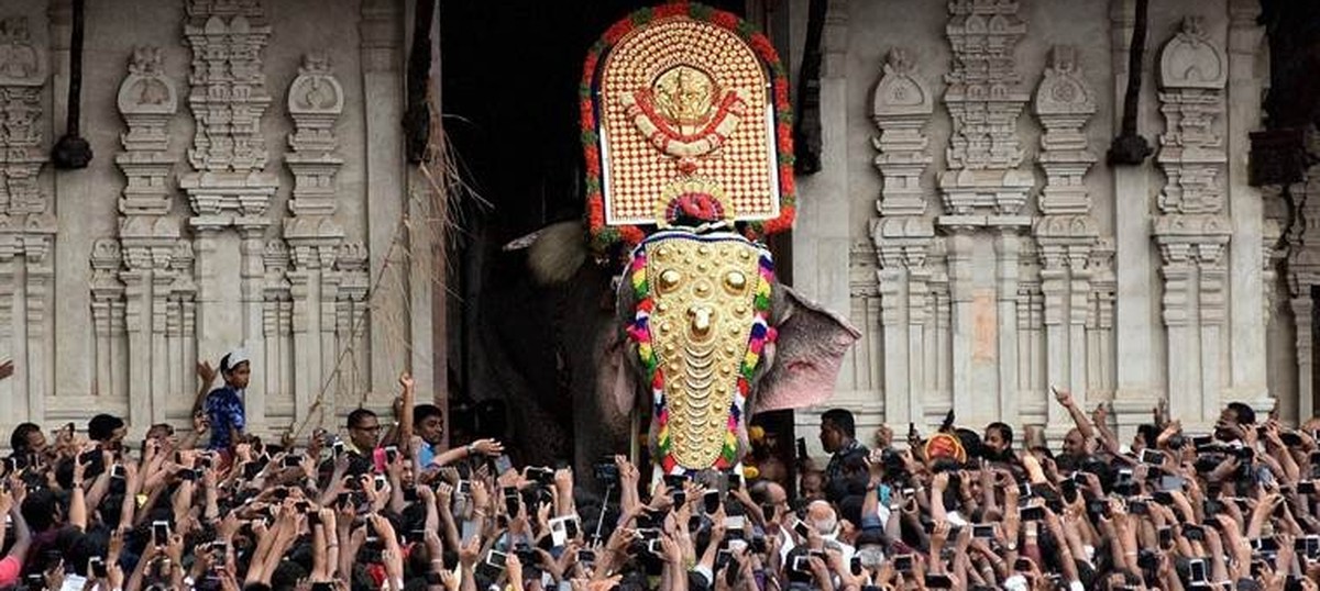 Kerala: Thrissur administration lifts ban on parading elephant at temple festival