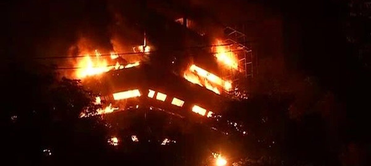 Fire guts National Museum of Natural History in Delhi, Centre orders safety audit of all museums