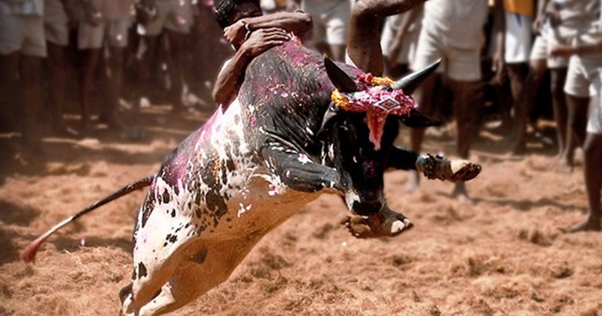 Madurai: Jallikattu supporters baton-charged, 30 detained on the first day of Pongal