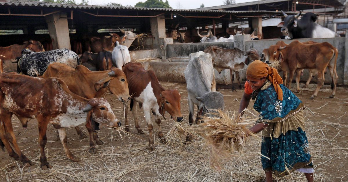 Meghalaya: More than 5,000 BJP workers quit after disagreeing with party’s beef politics