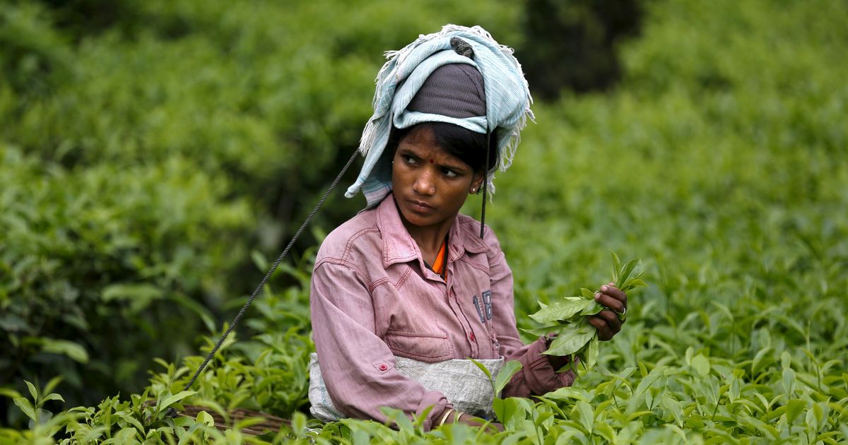 What Assam’s new Scheduled Tribe reservation proposal could mean for its marginalised groups