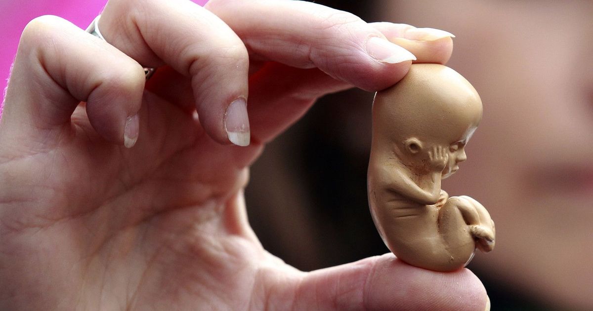 Madhya Pradesh: Baby found alive in sewage tank, doctors believe it was delivered in a toilet
