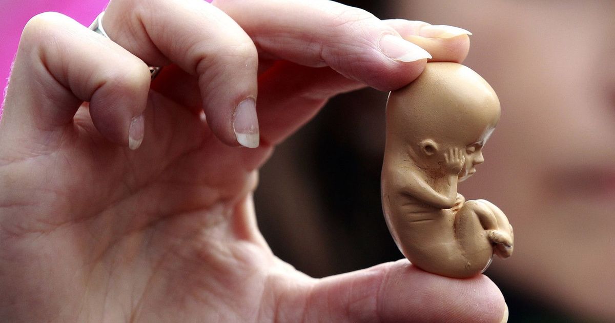 Seven-month pregnant woman killed as husband pressed her stomach to force foetus out: Punjab police