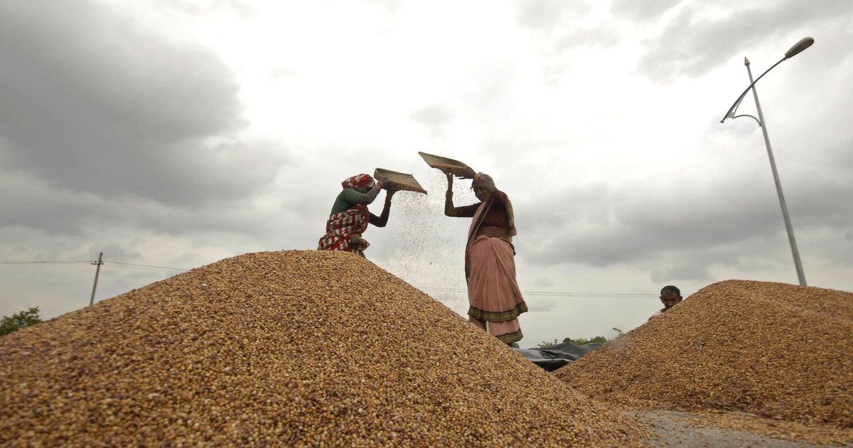 Two arrested in Surat for using stolen biometric data to divert subsidised food items