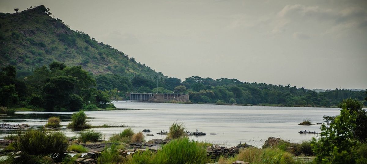 Centre wants to transfer surplus water from Godavari river to Cauvery to help Tamil Nadu