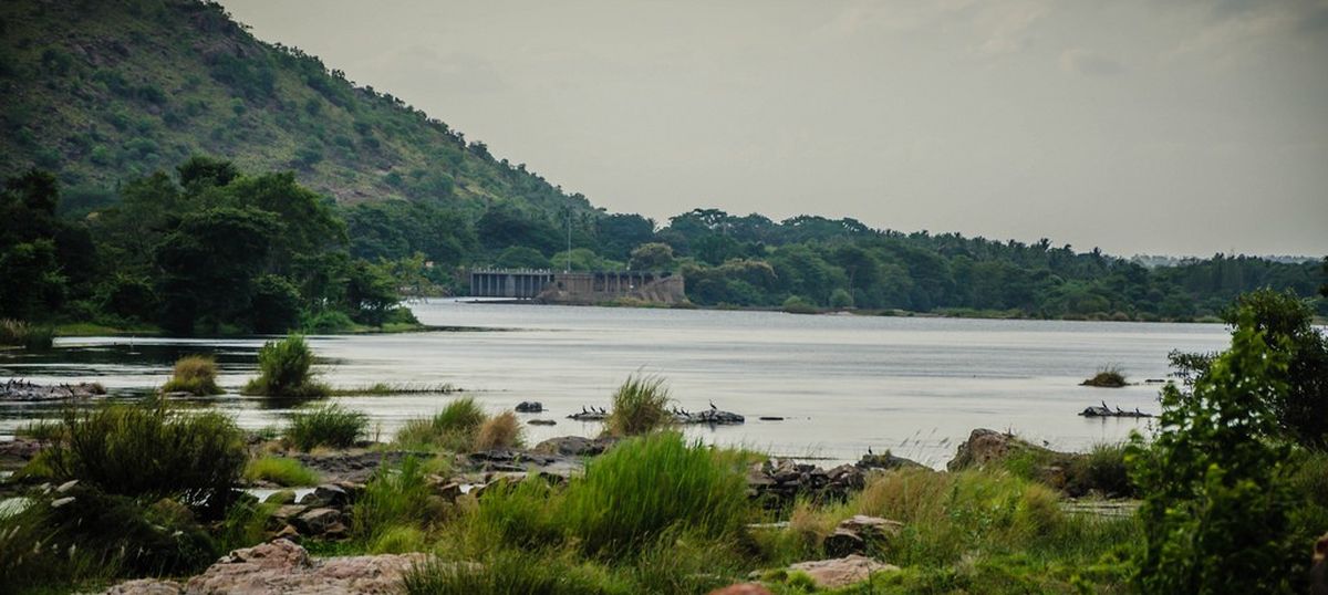 Cauvery dispute: CM Siddaramaiah says Karnataka will release water for Tamil Nadu 'despite hardship'
