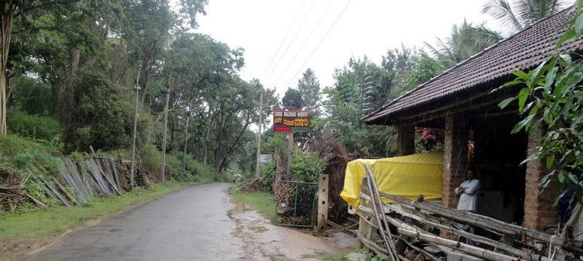 coffee planters are tracking climate change by recording