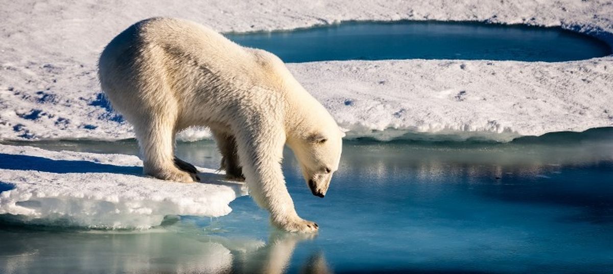Climate change: 2016 was the warmest year on record and human activities were to blame, says WMO